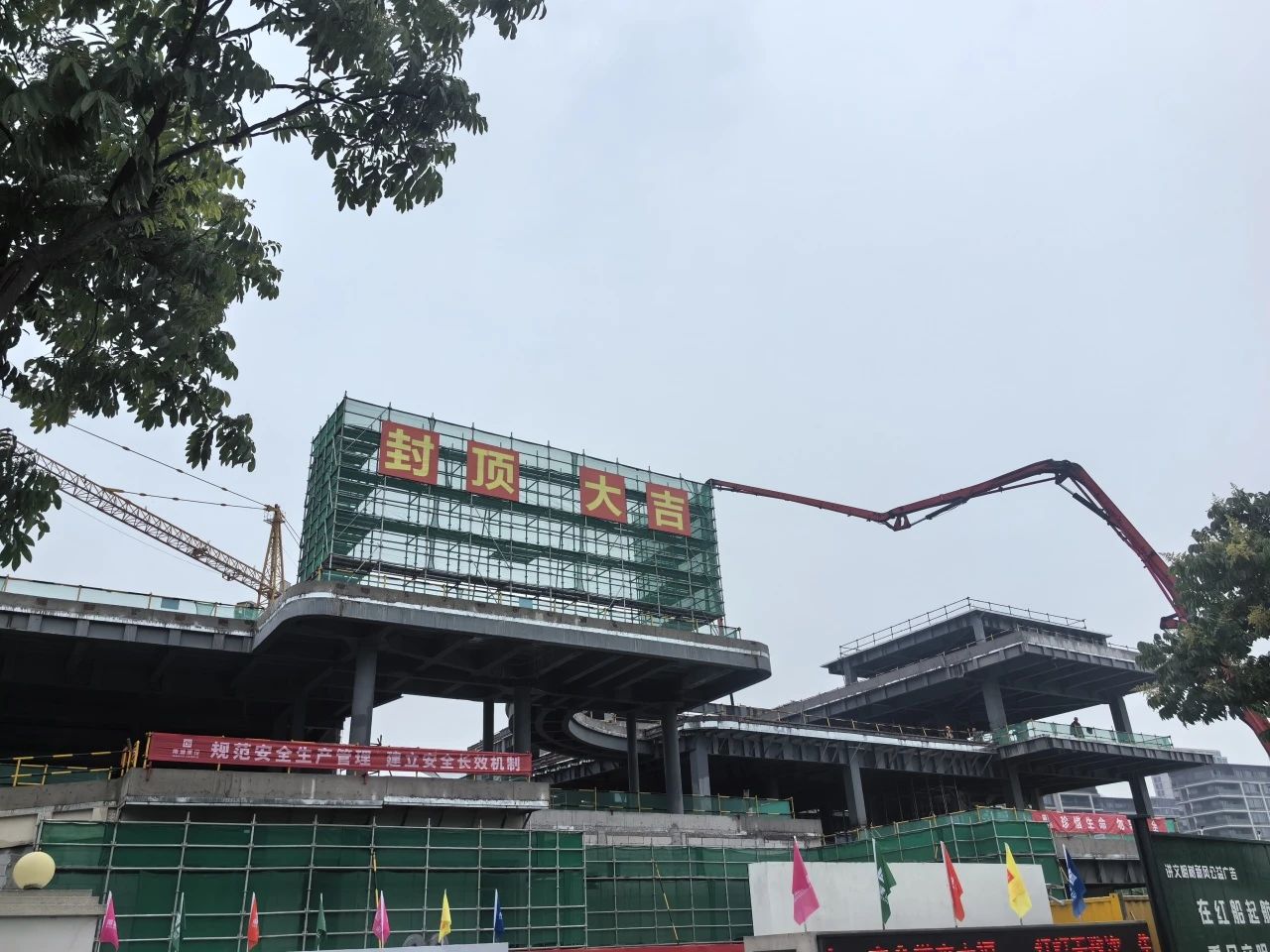 1719192069621284.jpg 嘉興2.jpg