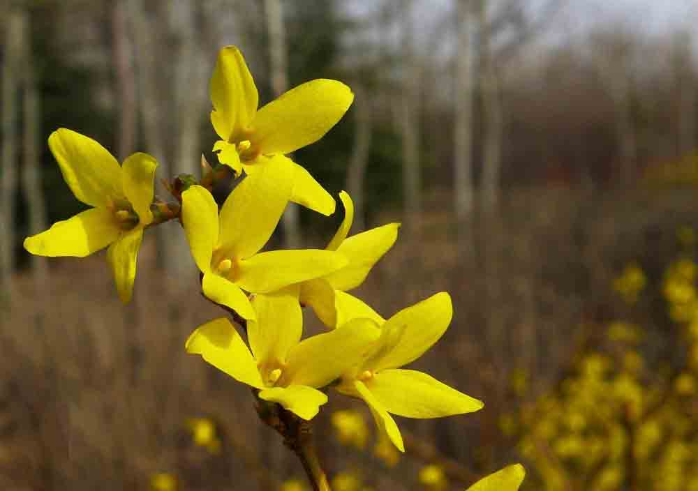 8694a4c27d1ed21bd83de829a76eddc450da3f02.jpg 8694a4c27d1ed21bd83de829a76eddc450da3f02.jpg