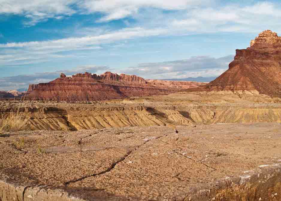 荒漠生態(tài)系統(tǒng)——荒漠生態(tài)系統(tǒng)的分布、基本特征