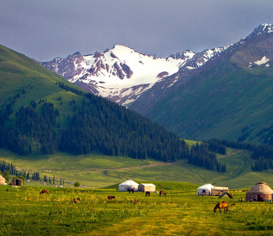 生態(tài)系統(tǒng)健康和管理——生態(tài)系統(tǒng)健康的管理原則、評(píng)估要點(diǎn)和指標(biāo)