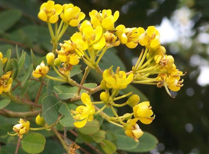 c83d70cf3bc79f3db789a3c3baa1cd11738b29dc.jpg c83d70cf3bc79f3db789a3c3baa1cd11738b29dc.jpg