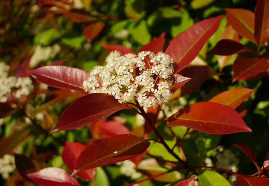 微信截圖_20250224094115.jpg 微信截圖_20250224094115.jpg