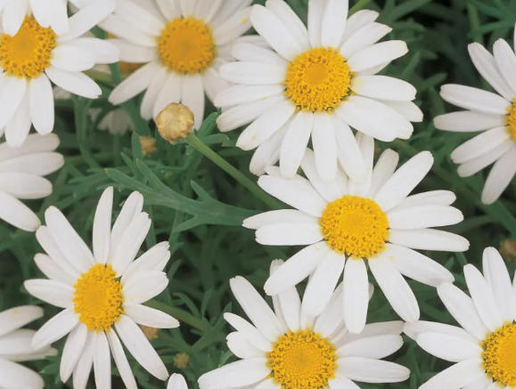 木春??1.jpg 木春??1.jpg